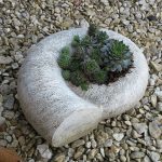 Jean Jenkins Jean Jenkins