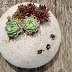 Jean Jenkins Jean Jenkins